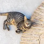 فندق قرية بيريستيروناس