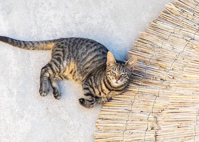 Отель Peristeronas Village